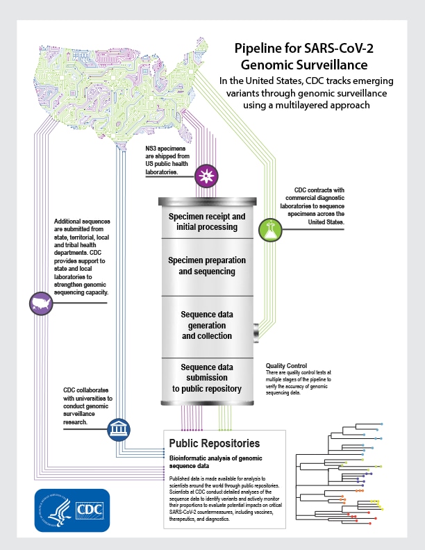 INFOGRAPHIC - Pipeline for SARS-CoV-2 Genomic Surveillance