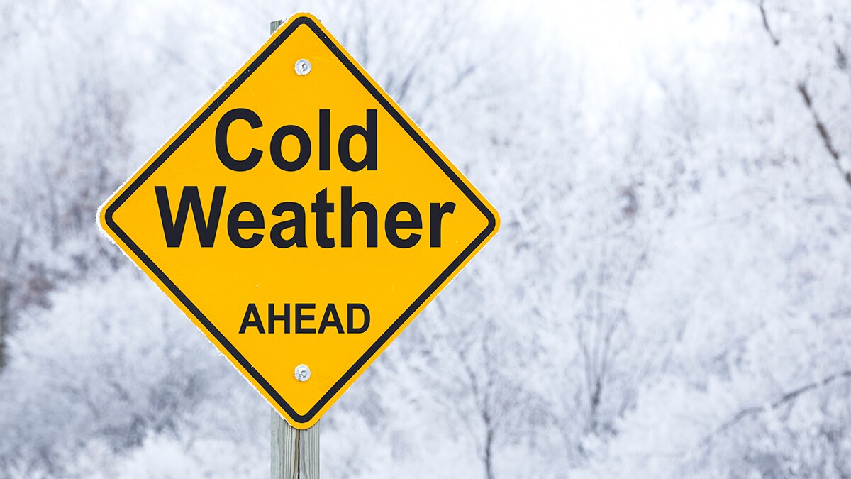 Diamond shape, bright yellow hazard road sign that says Cold Weather Ahead” in bold black lettering. Snowy image behind the sign.