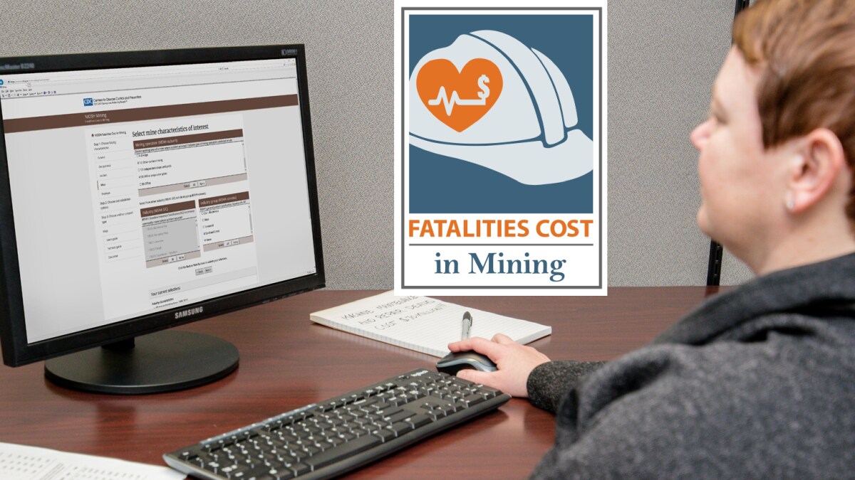 Fatalities Cost in Mining software logo and user