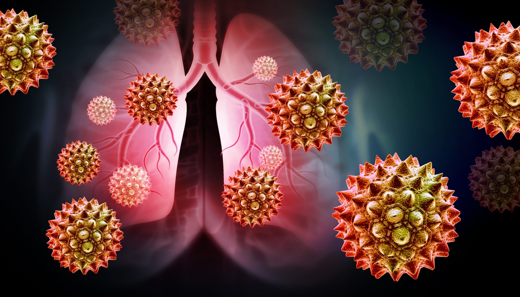 An illustration of the lungs and contaminants