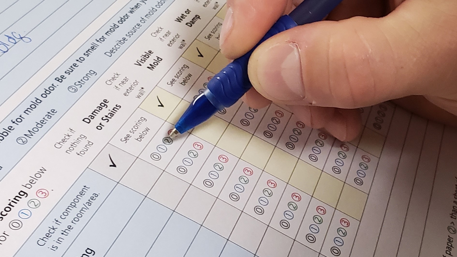 Filling in bubbles on the Dampness and Mold Assessment Tool form.