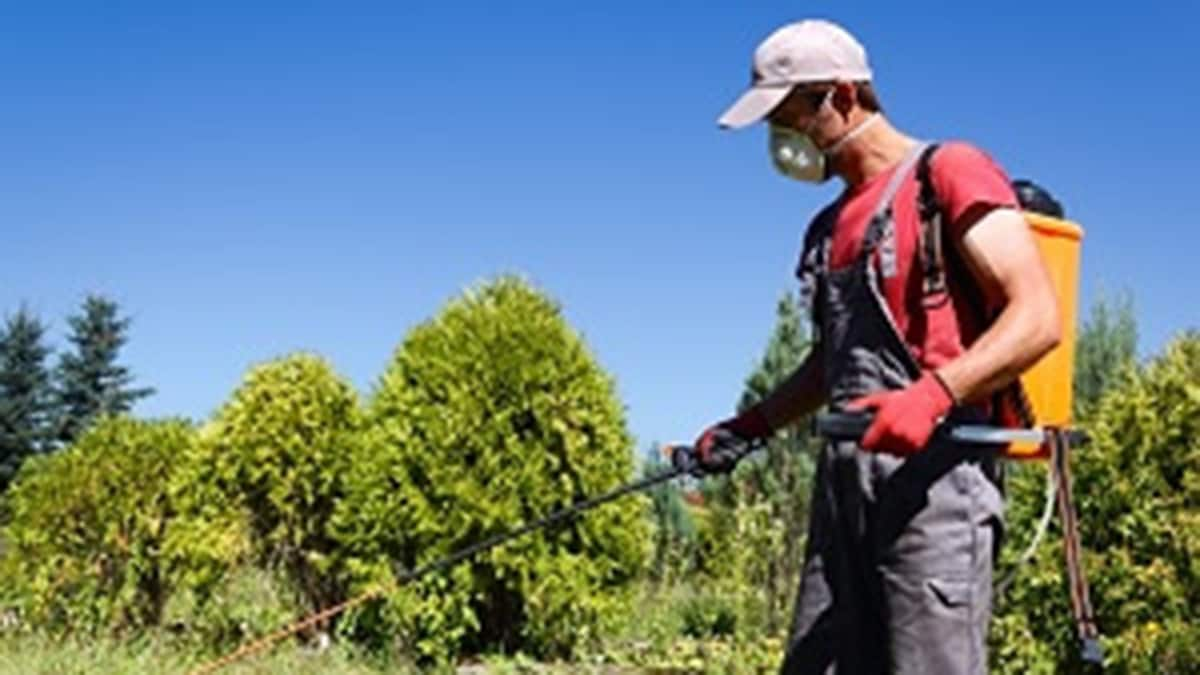 A worker wearing PPE sprays pesticide outside.