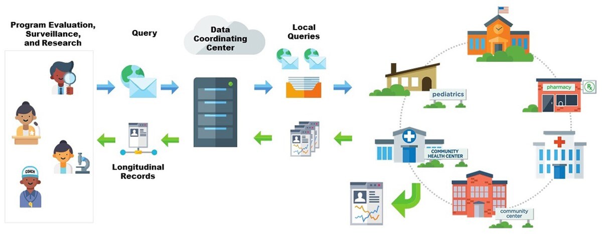 Drawing showing how data are queried and shared among clinical and community partners in a distributed health data network.