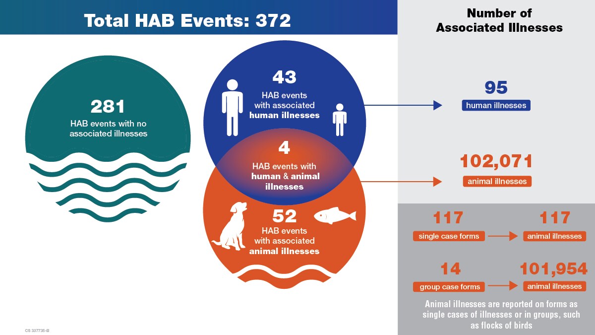 Total HAB Events: 372, 281 not associated with illness, 43 with human illnesses, 52 with animal illnesses, 4 with both. Number of associated illnesses: 95 human, 102,071 animal