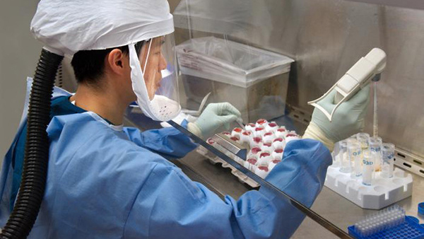 lab worker h7n9 Lab worker conducting experiment