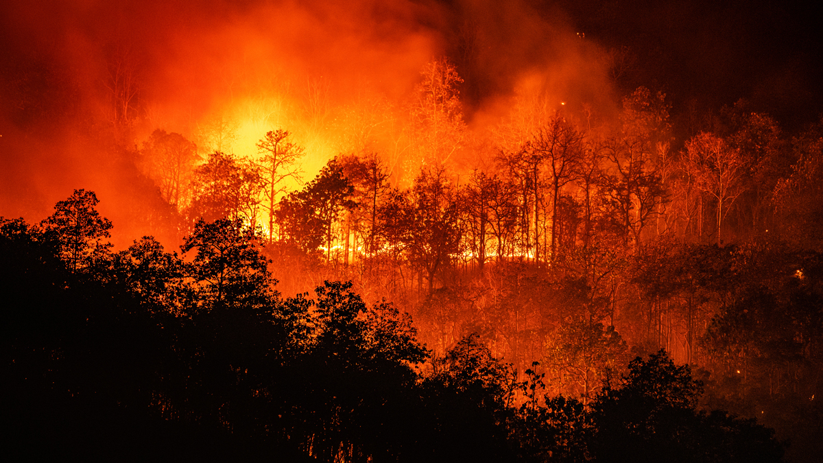 wildfire California wildfire