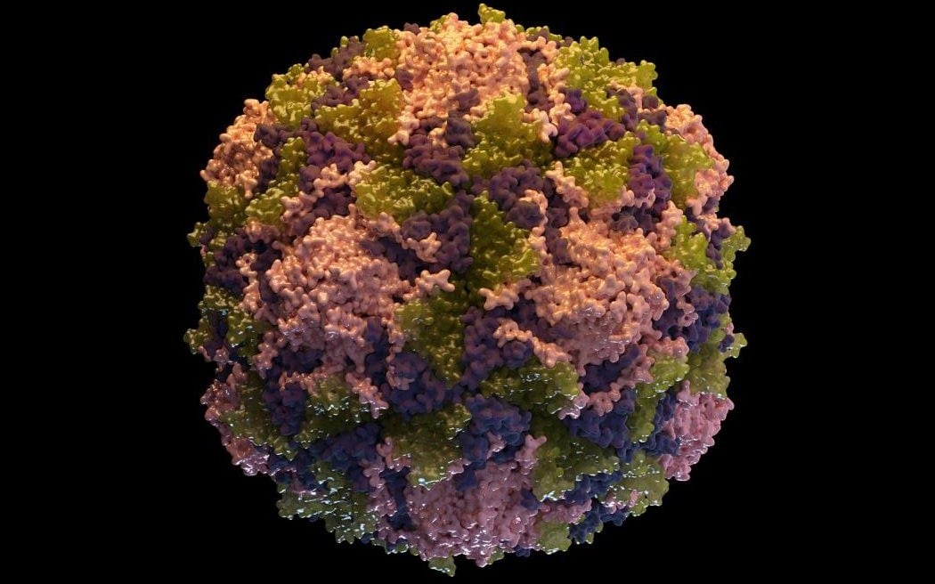 Poliovirus