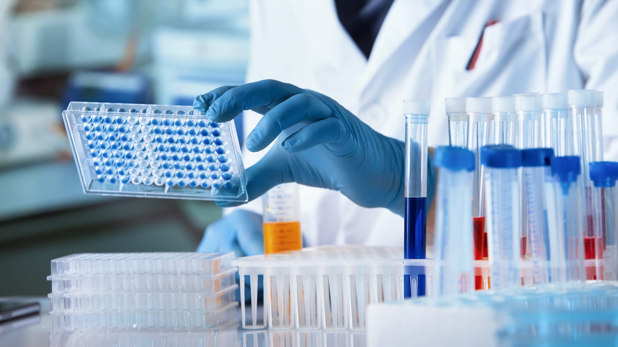 Lab worker holding a PCR test