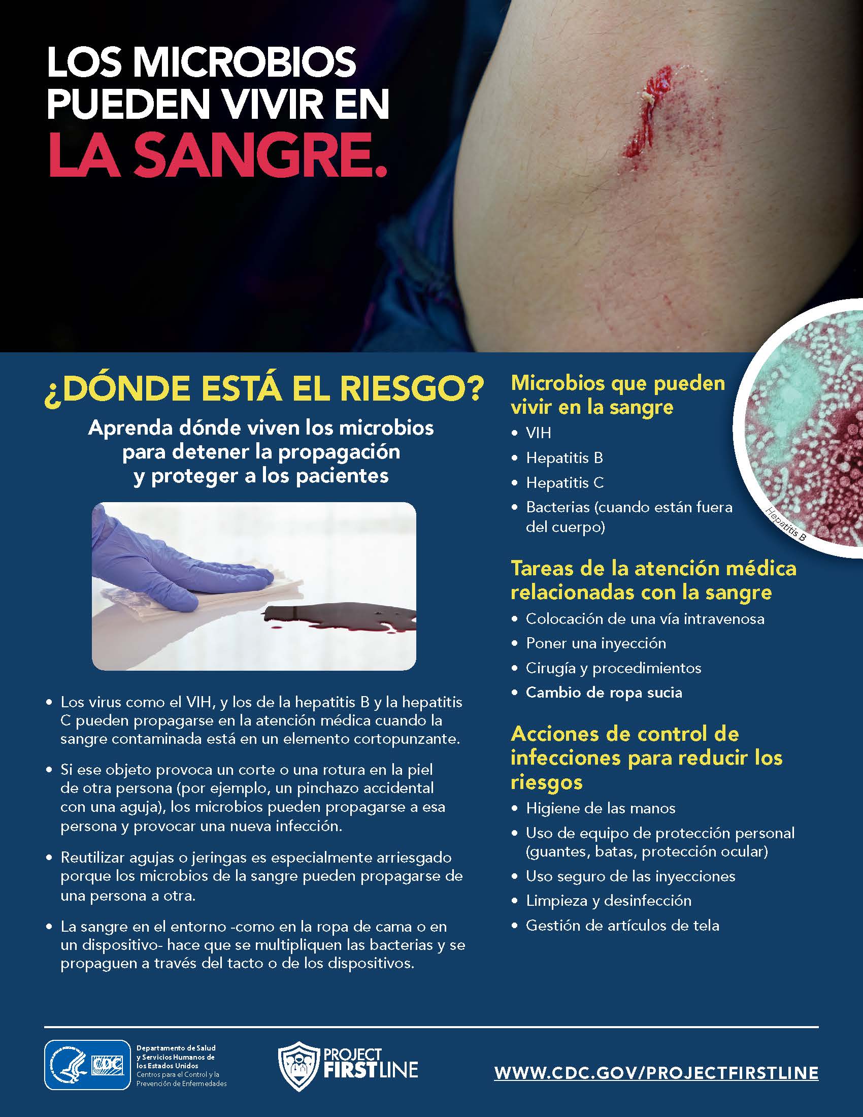 Los microbios pueden vivir en la sangre