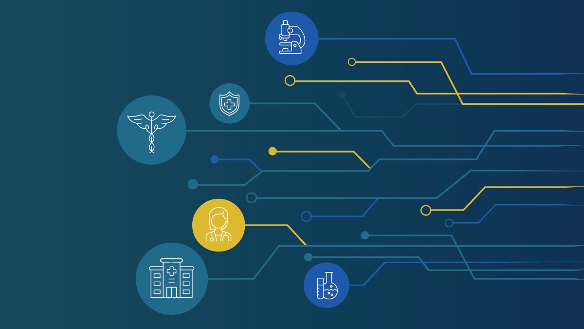 PHDS partners include: federal partners, the public, providers, CDC, national partners, healthcare systems and STLTs.