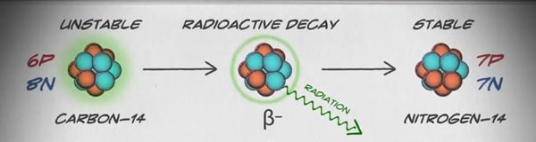 Drawing showing how an unstable carbon-14 can be transformed to a stable protein.