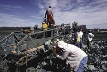 Fotograf%26iacute;a de trabajadores al aire libre con camisas de manga larga y pantalones largos