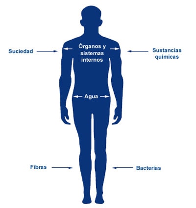 El da%26ntilde;o en la piel reduce su capacidad de proteger el cuerpo.