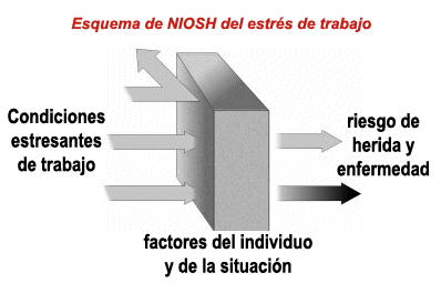 Esquema de NIOSH del estr%26eacute;s de trabajo