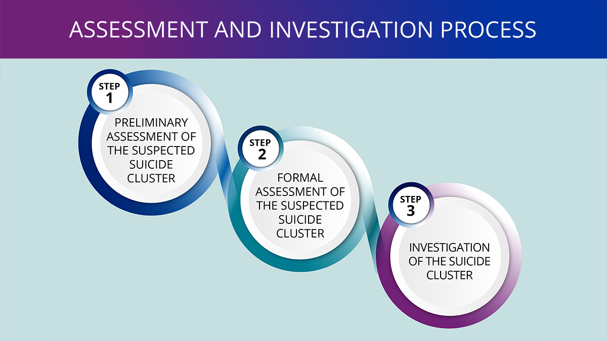 Diagram showing 3 circles of steps on how to assess and investigate a suspected suicide cluster.