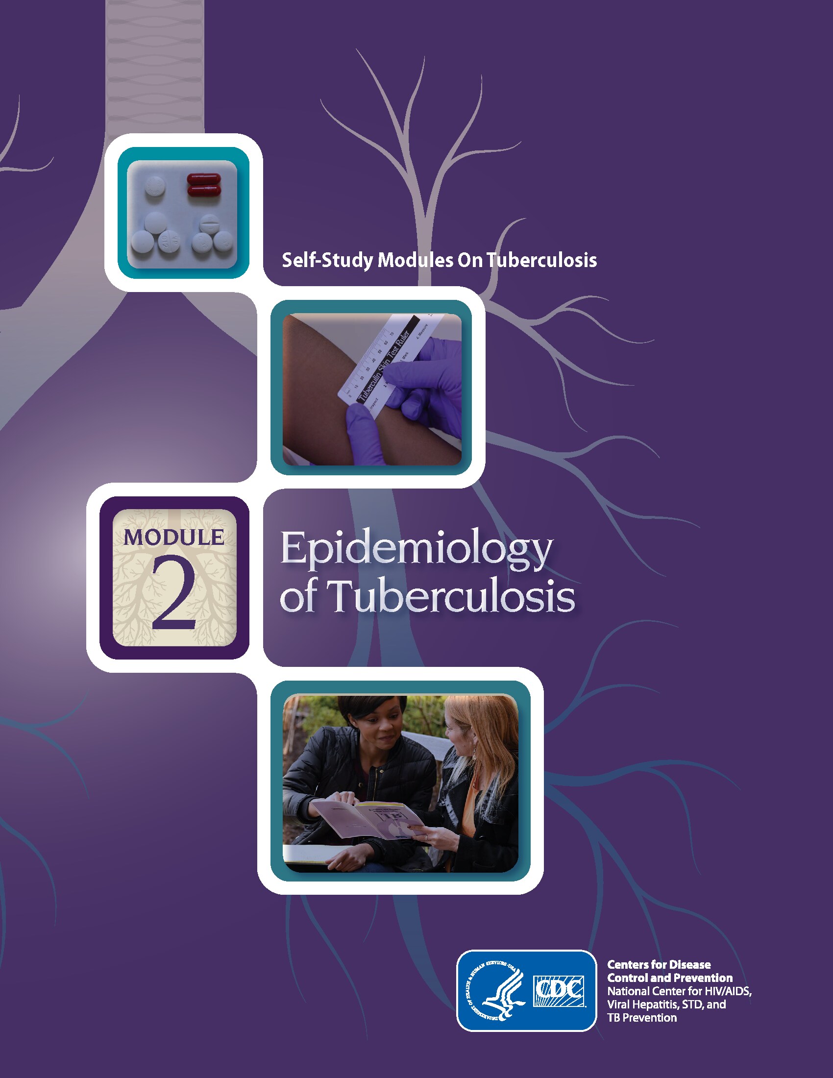 self study modules on tuberculosis: epidemiology of tuberculosis