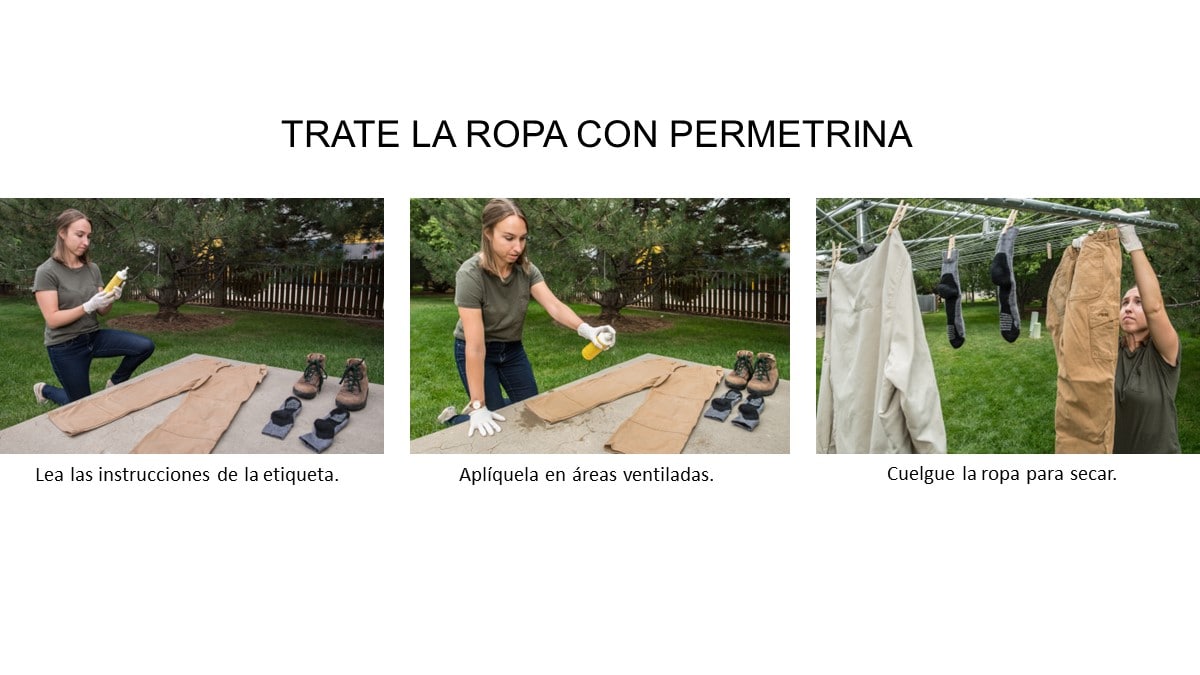 Serie de tres imágenes mostrando a una mujer tratando su ropa con permetrina.