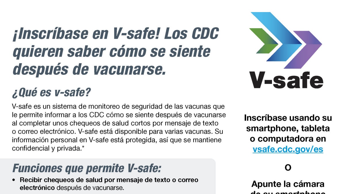 V-safe Poster ES Thumb Image