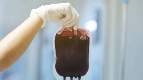 Gloved hand holding a blood bag