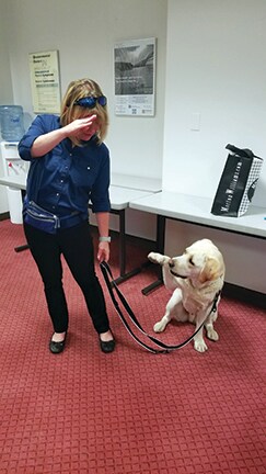 Photo a person interacting with a service dog on a leash.